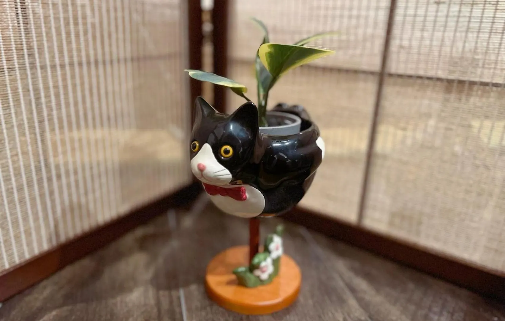 大阪Yume夢 黒門店公寓 日本